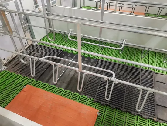 Lattes de caisse de mise bas en plastique durable pour porc